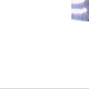 Meet your Posher, Eva